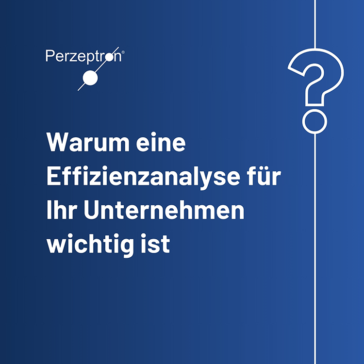 Warum ist eine Effizienzanalyse wichtig Warum ist eine Effizienzanalyse wichtig
